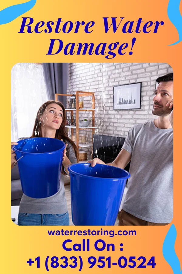 water restoration Stellar Damage Recovery Professionals Pine Crest