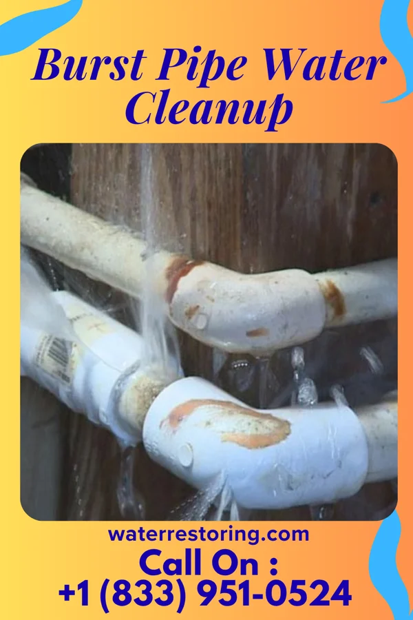 Burst Pipe Water Cleanup in Pine Crest, TN