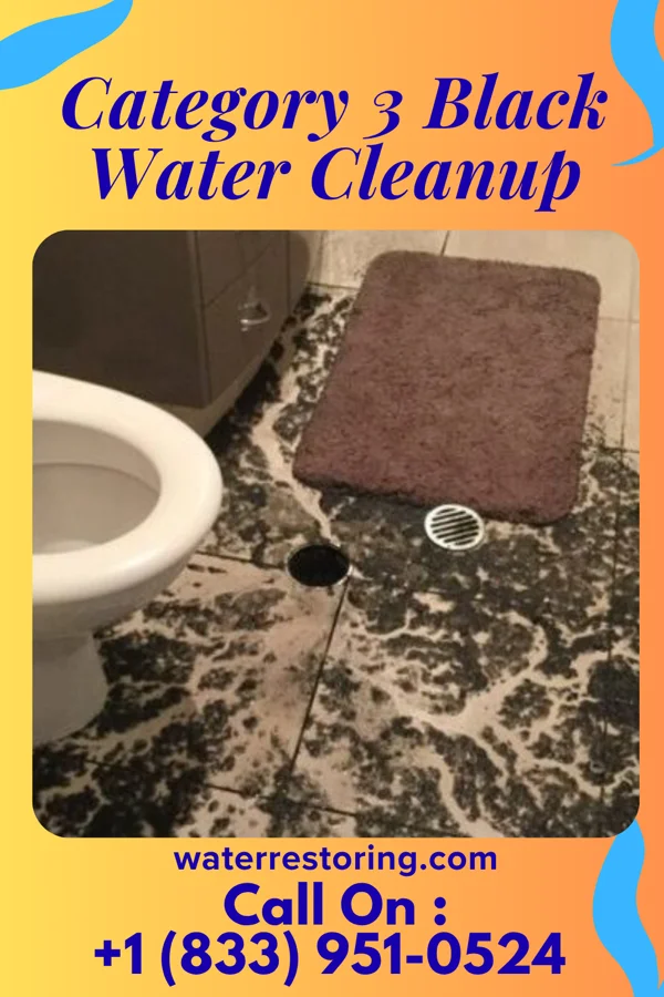 Category 3 Black Water Cleanup in Pine Crest, TN