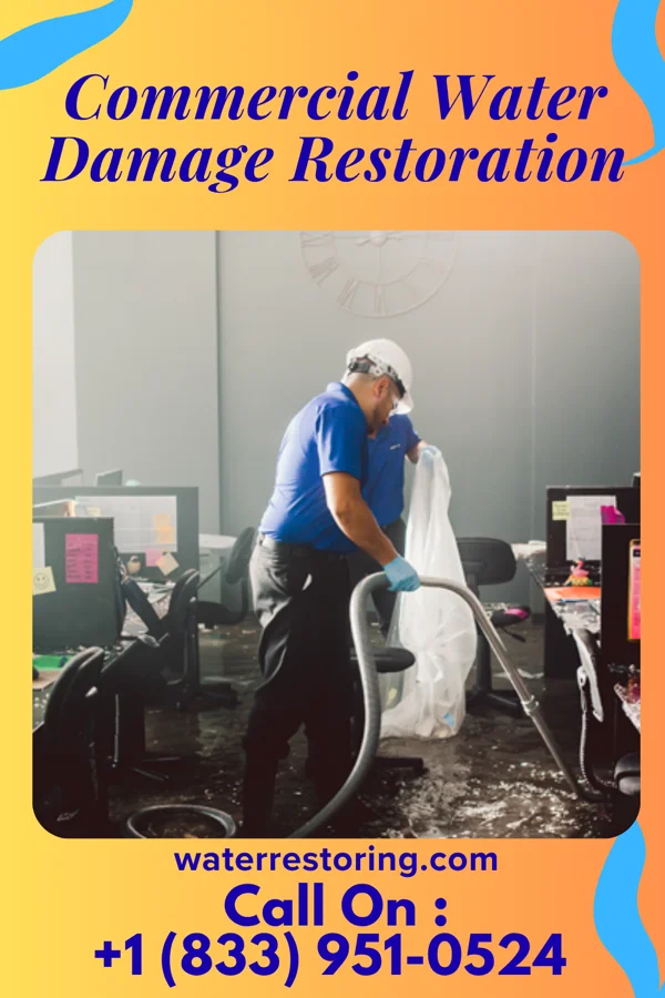 Commercial Water Damage Restoration in Pine Crest, TN