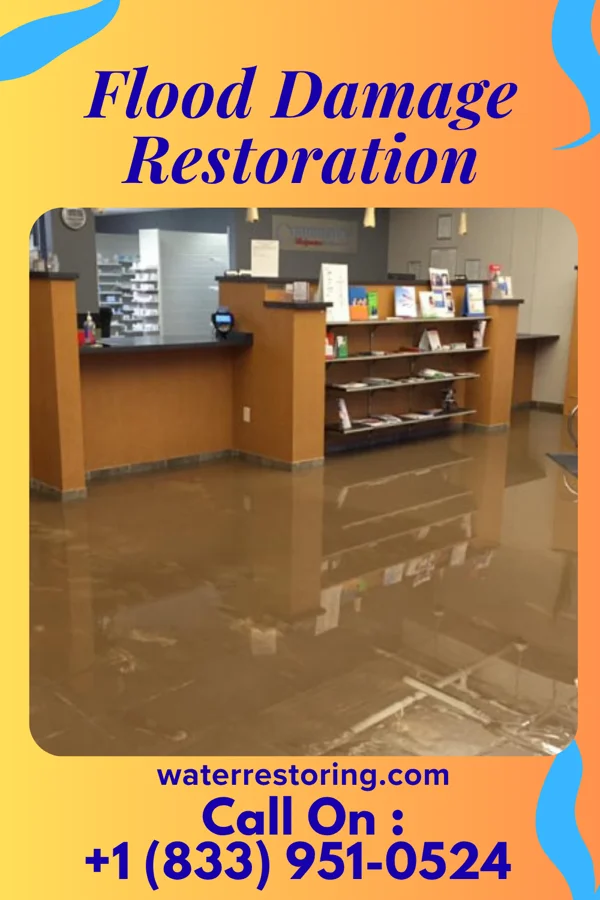 Flood Damage Restoration in Pine Crest, TN