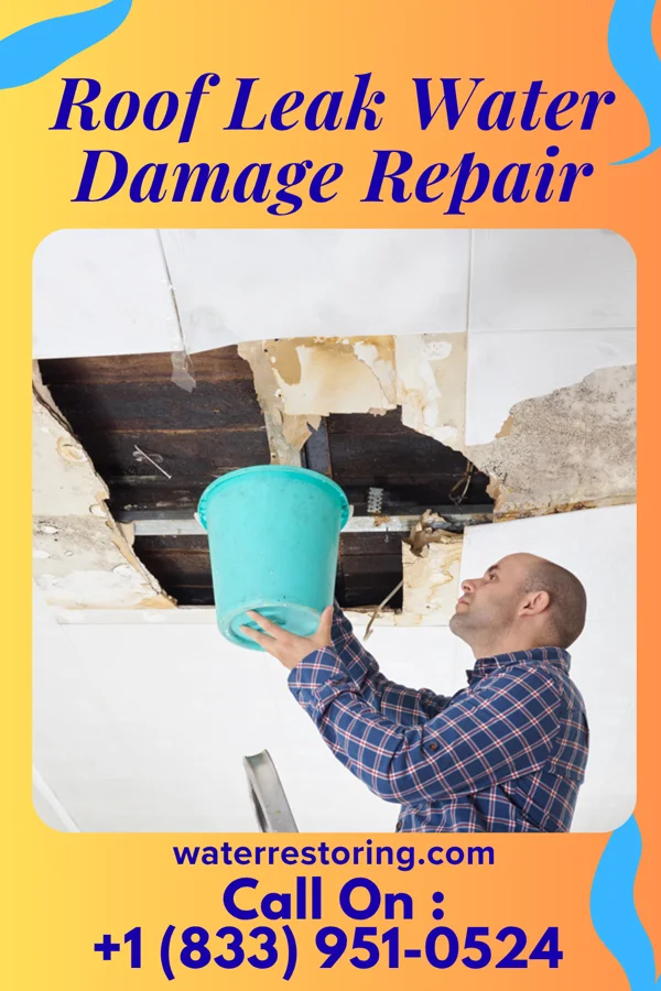Roof Leak Water Damage Repair in Pine Crest, TN