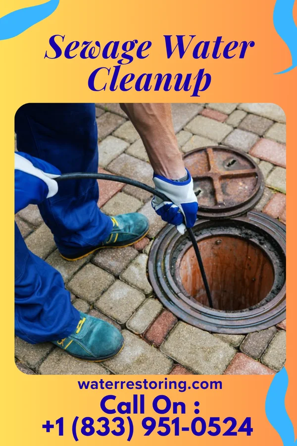 Sewage Water Cleanup in Pine Crest, TN